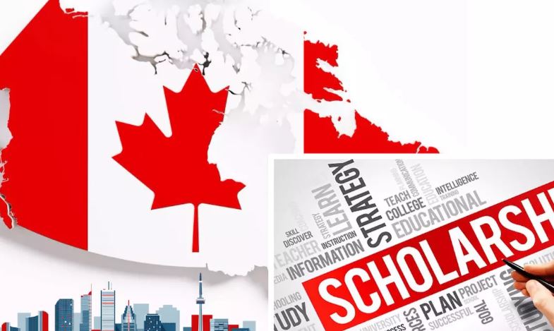 How to Apply for Scholarship in Canada